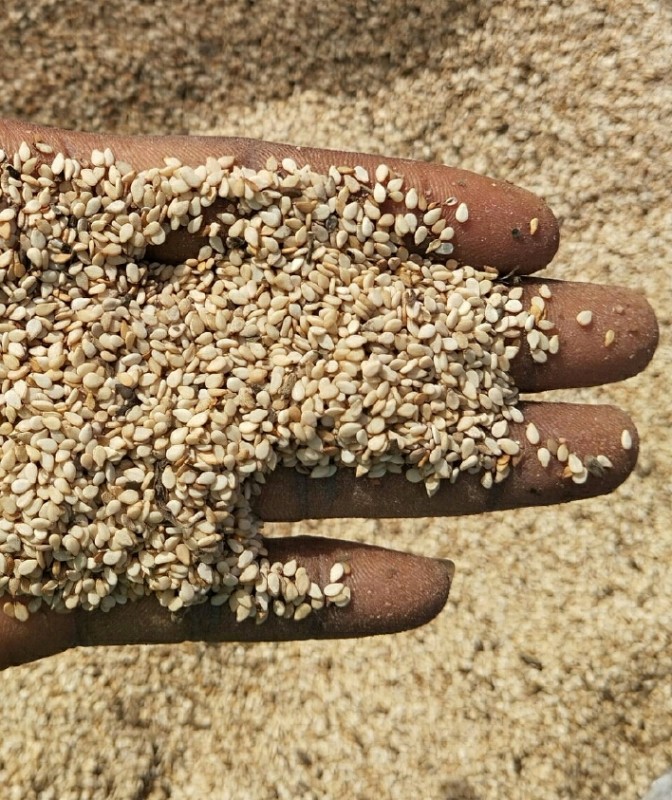 Sesamzaad from Nigeria